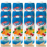 Фруктовый напиток Roselle Delight  со смесью фруктов