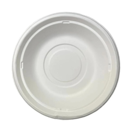Disposable bowls H&Co Bagasse