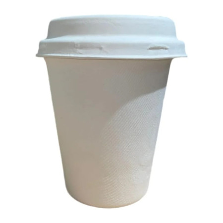 Eco-friendly disposable paper cups